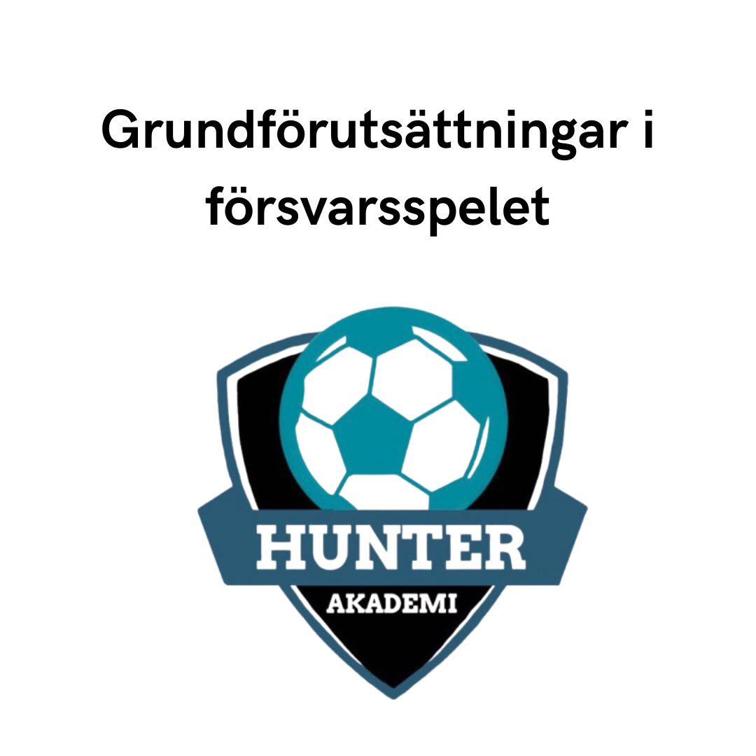 Grundförutsättningar i försvarsspelet